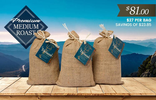 3x Organic, Single Origin Medium Roast Coffee 12 oz Bag - Bundle