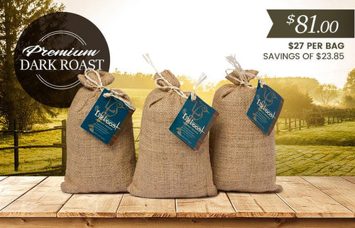 3x Organic, Single Origin Dark Roast Coffee 12 oz Bag - Bundle