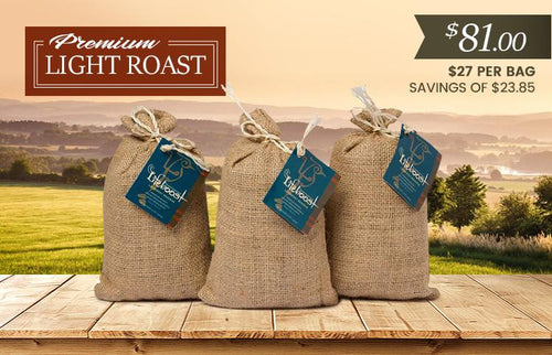 3x Organic, Single Origin Light Roast Coffee 12 oz Bag - Bundle