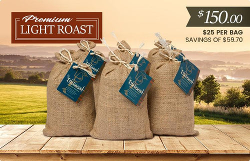 6x Organic, Single Origin Light Roast Coffee 12 oz Bag - Bundle