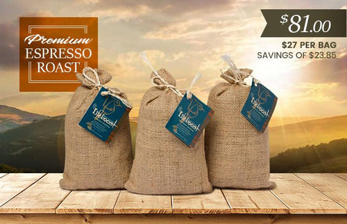 3x Organic, Single Origin Espresso Roast Coffee 12 oz Bag - Bundle