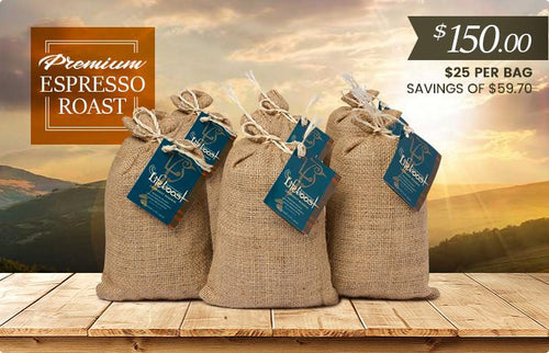 6x Organic, Single Origin Espresso Roast Coffee 12 oz Bag - Bundle