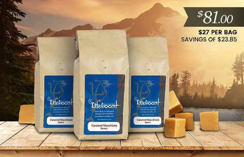 3x Single Origin Specialty, Caramel Macchiato Coffee 12 oz Bag - Bundle