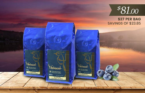 3x Single Origin Specialty, Blueberry Cinnamon Crumble Coffee 12 oz Bag - Bundle