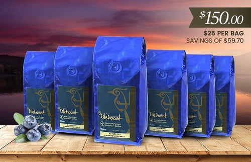 6x Single Origin Specialty, Blueberry Cinnamon Crumble Coffee 12 oz Bag - Bundle