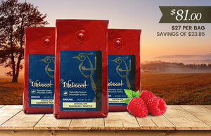 3x Single Origin Specialty, Chocolate Raspberry Truffle 12 oz Bag - Bundle