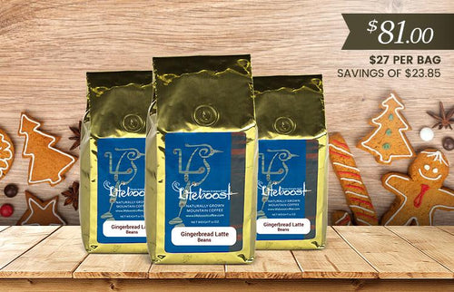 3x Single Origin Specialty, Gingerbread Latte Coffee 12 oz Bag - Bundle